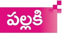 Pallaki Logo
