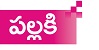Pallaki Logo